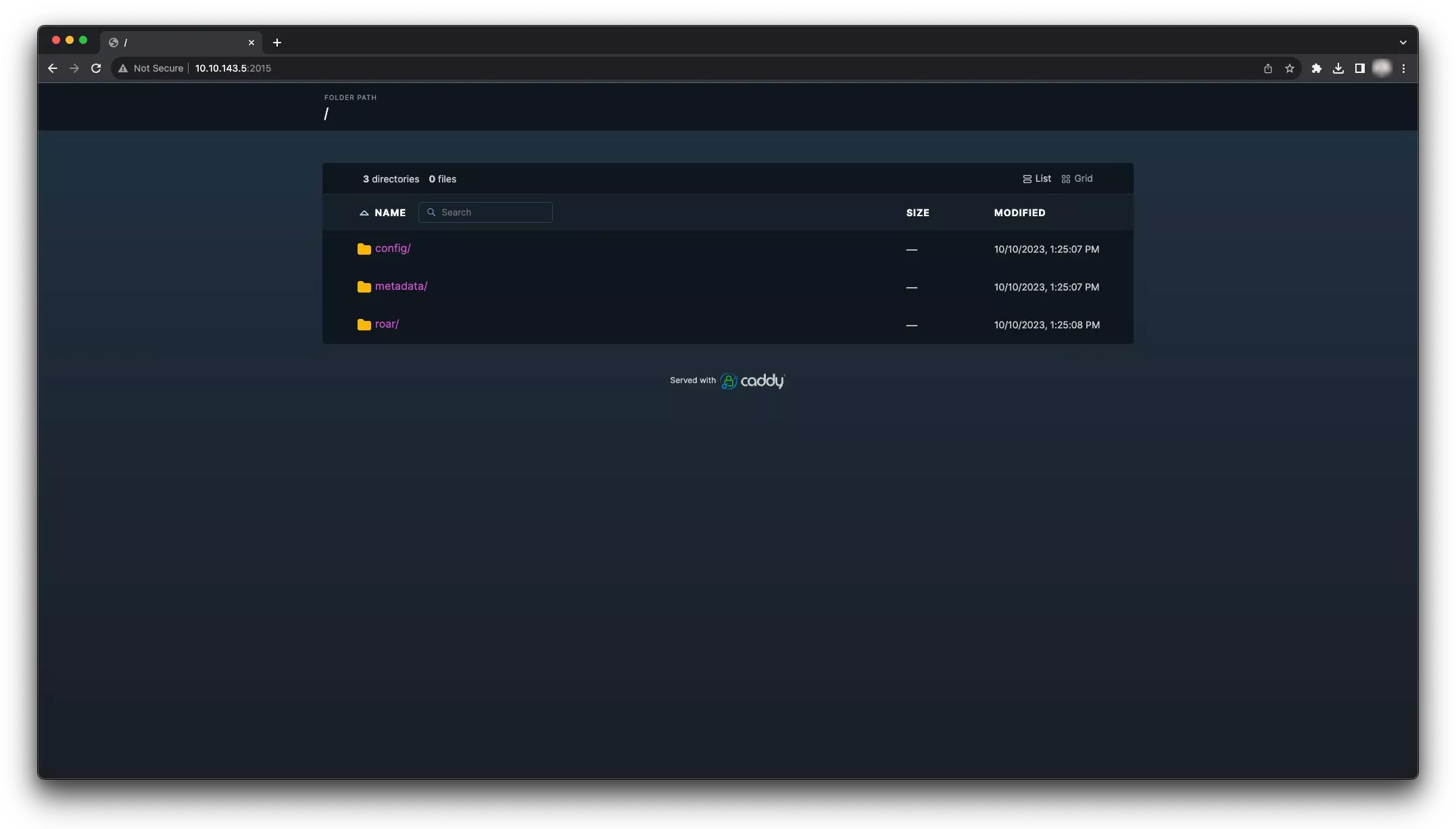 Example of a file server hosting the unzipped manifest content